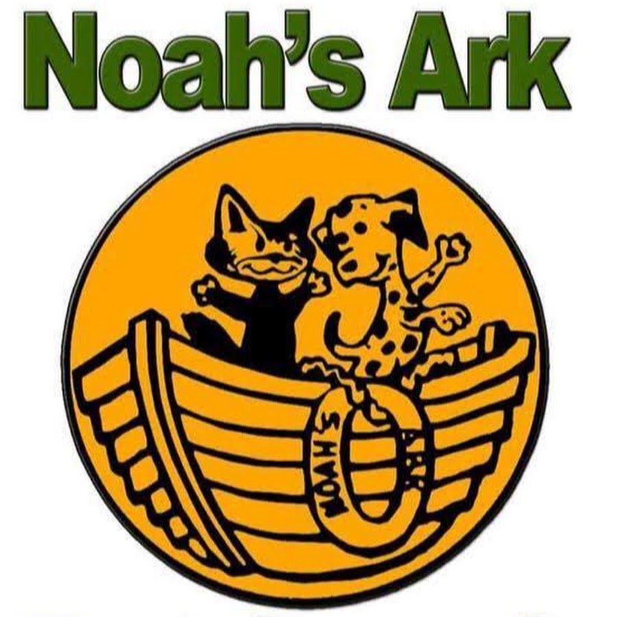 Noah's Ark Rescue رمز قناة اليوتيوب