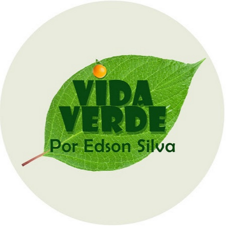 Vida Verde YouTube channel avatar