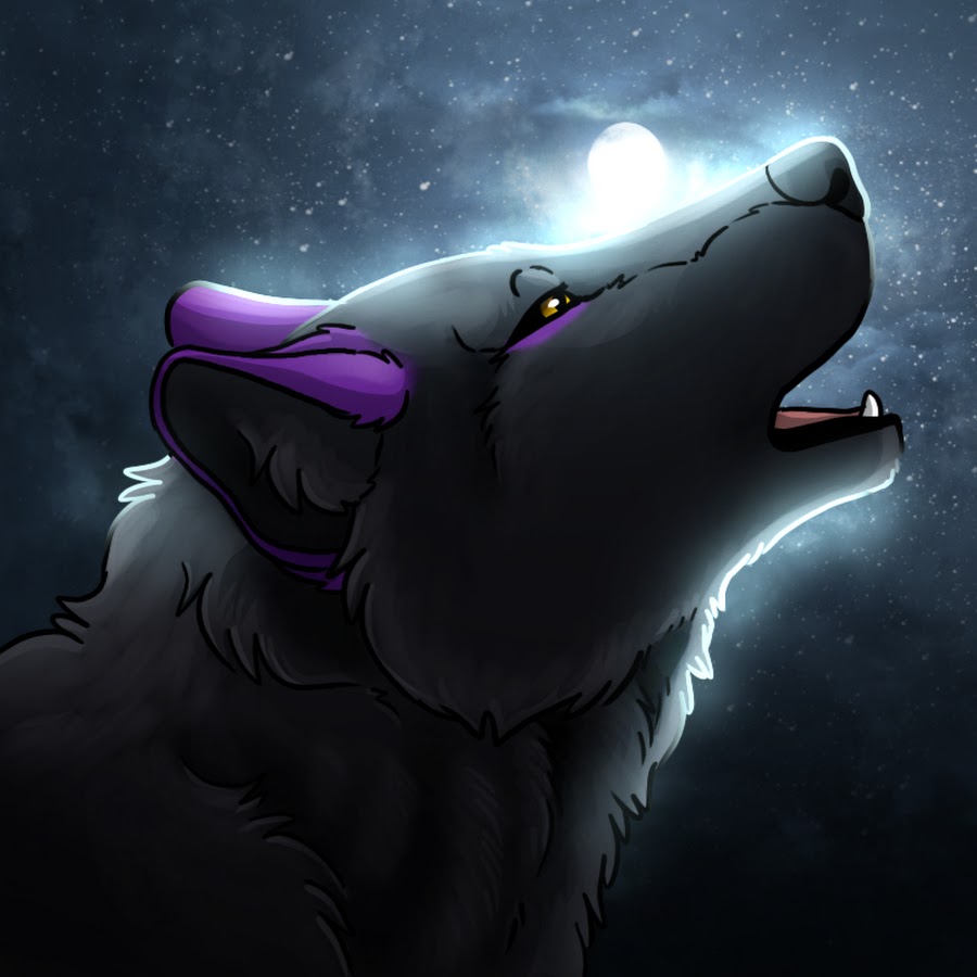 MIDNIGHTSKYWOLF Avatar canale YouTube 