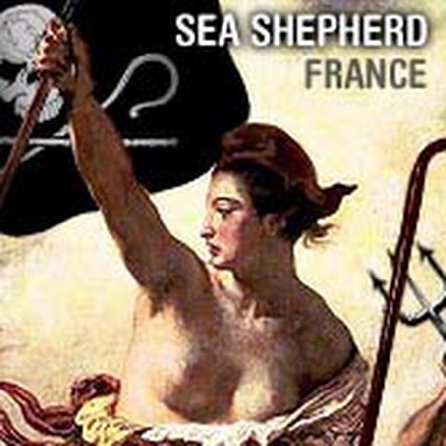 Sea Shepherd France - Officiel Avatar de chaîne YouTube