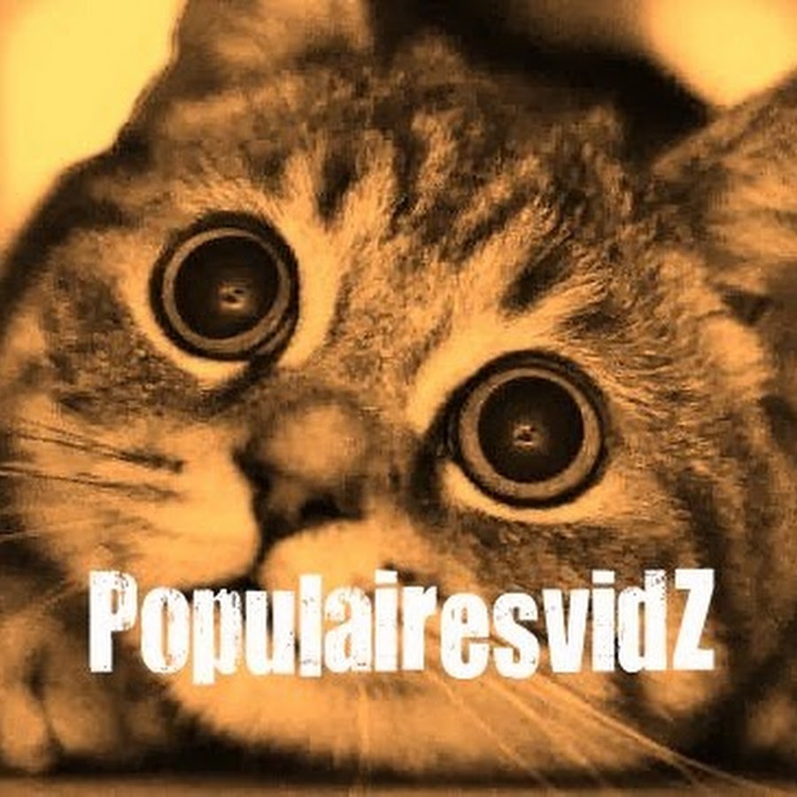 PopulairesvidZ YouTube channel avatar