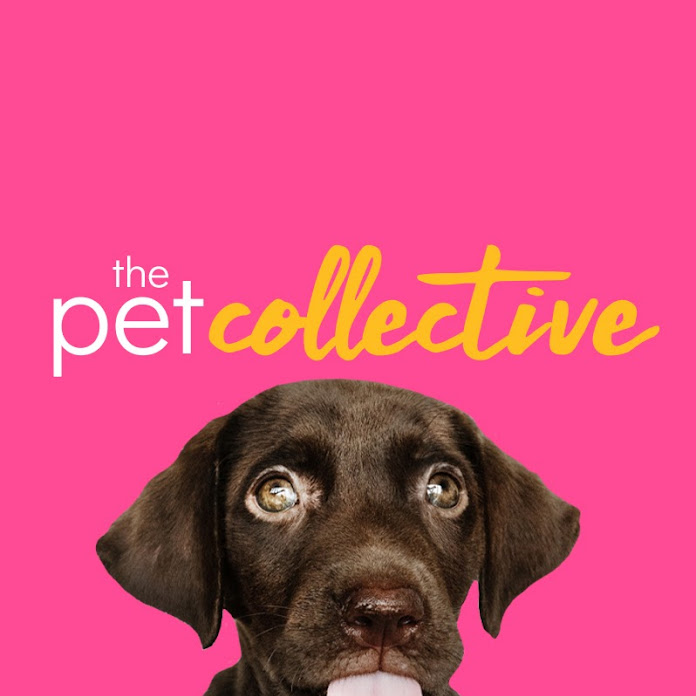 The Pet Collective Net Worth & Earnings (2022)