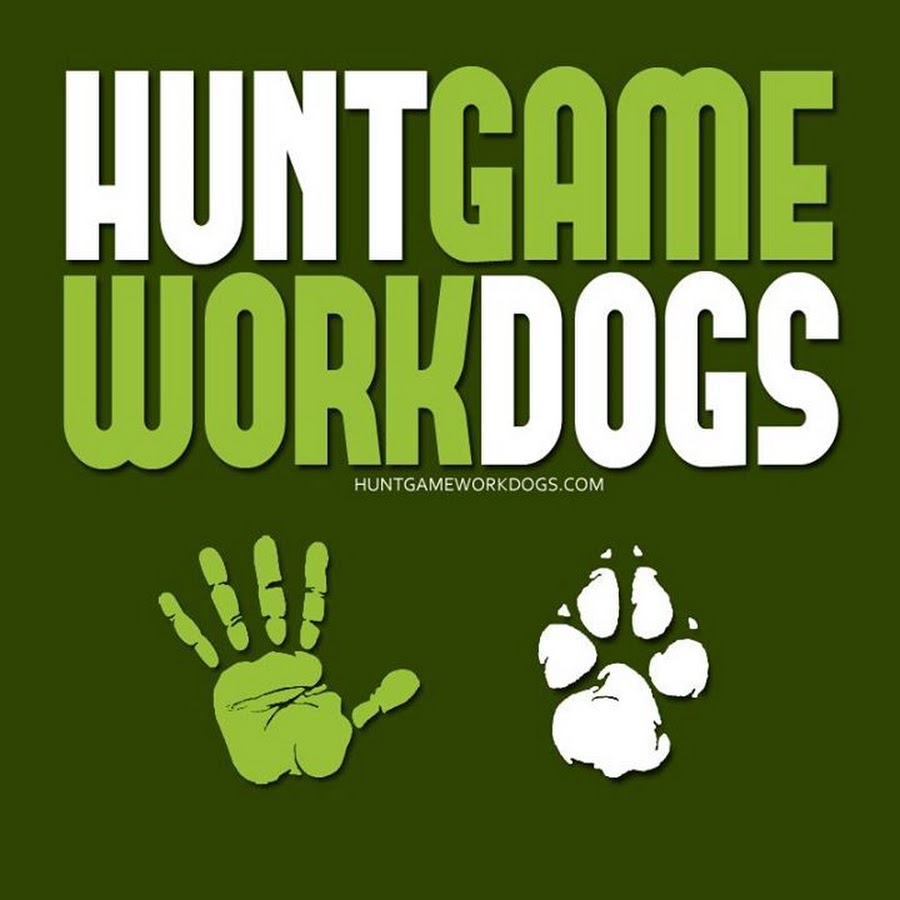 Hunting Game Working