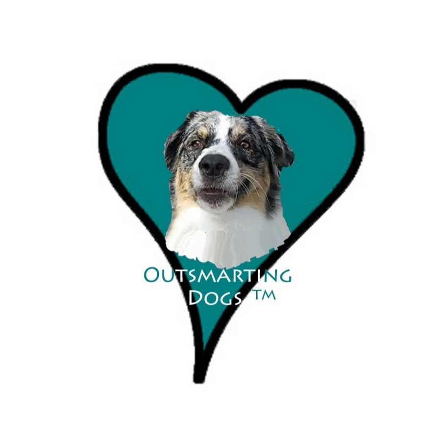 Outsmarting Dogs YouTube 频道头像