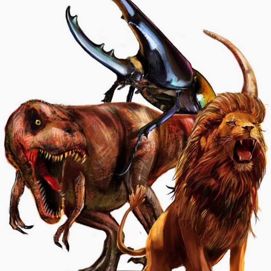 ワイルドキング Youtube