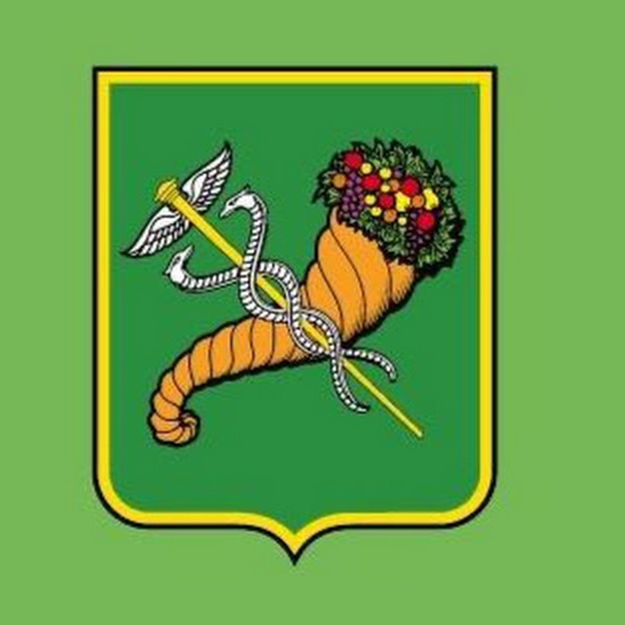Как выглядит флаг харькова