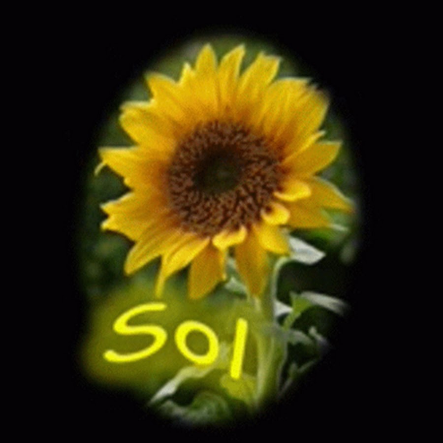 Sol Flores Avatar canale YouTube 