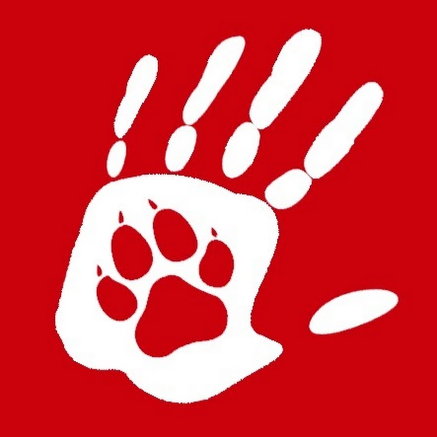 4EverDogs YouTube channel avatar