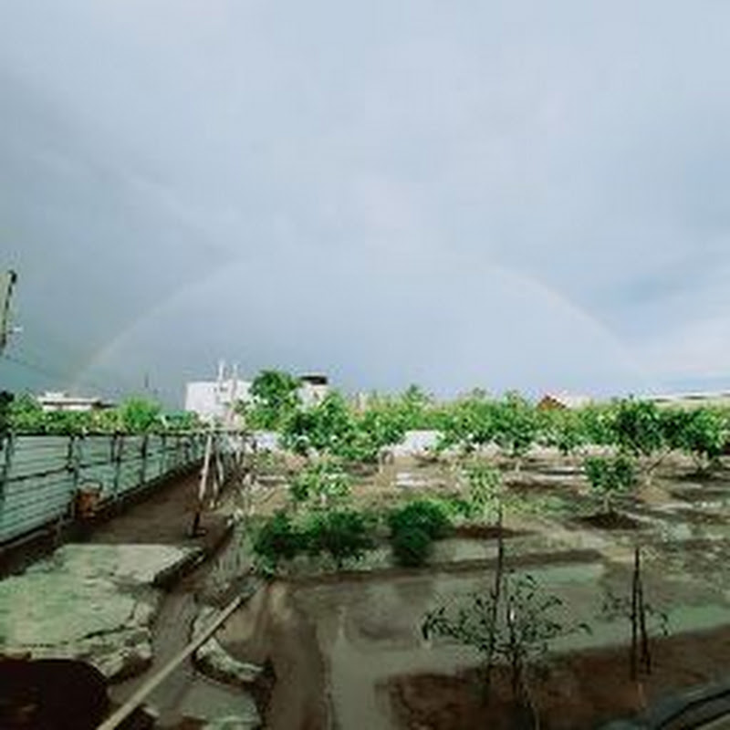 林珮君專屬君團 - 網紅的藏寶箱 