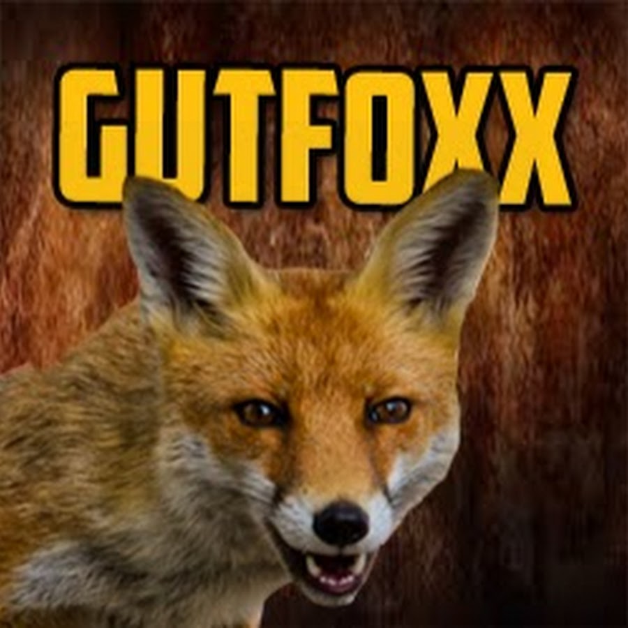 Gut Foxx