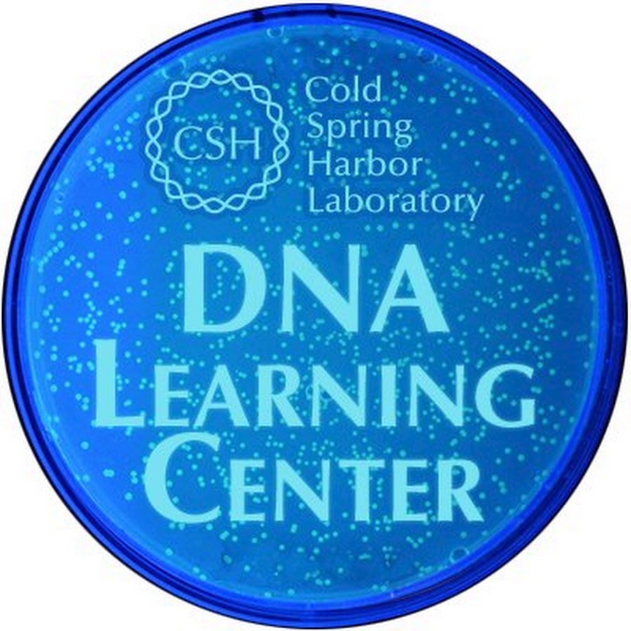 DNA Learning Center YouTube channel avatar