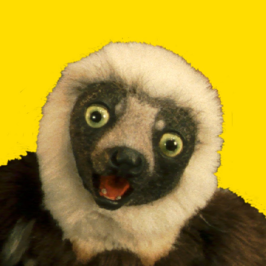 Zoboomafoo Avatar canale YouTube 