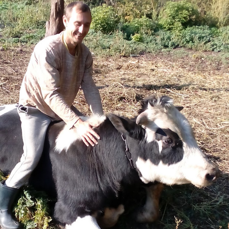 Спб. Жизнь в курской деревне. Рутуб жизнь в курской деревне. Жизнь в курской деревне. В деревеньке буренка живет.