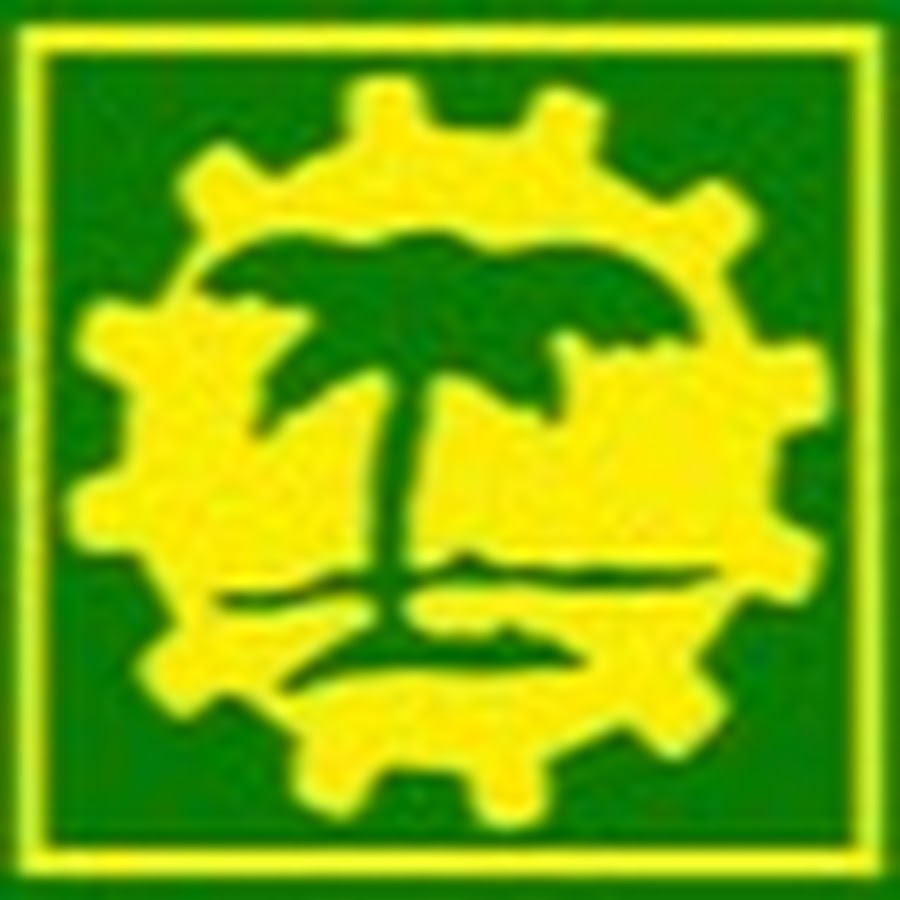 palmgroessen YouTube channel avatar