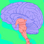 Brainstem YouTube Profile Photo