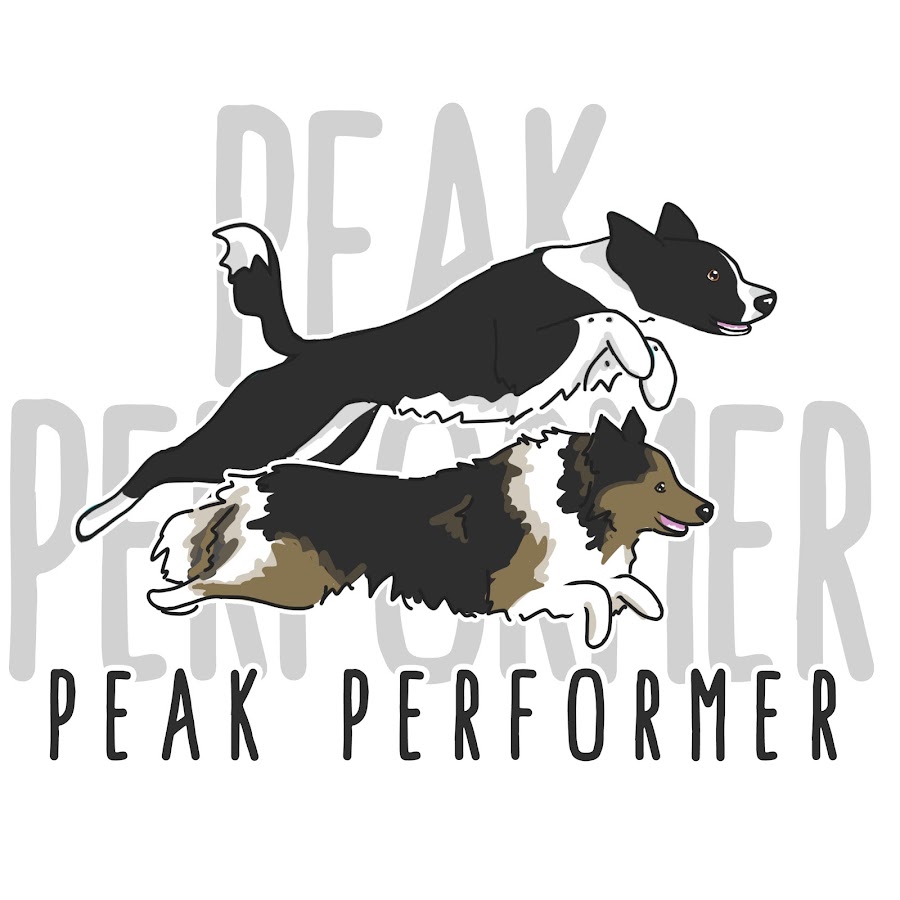 Peak Performer رمز قناة اليوتيوب