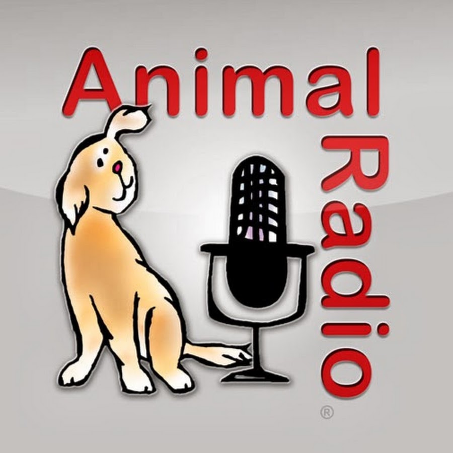 AnimalRadio Avatar canale YouTube 