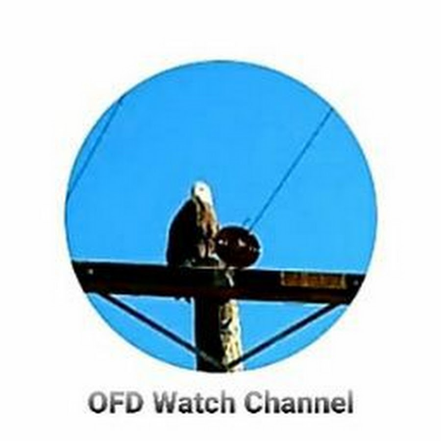 Aron Dunlap-OFD Watch Channel Avatar canale YouTube 