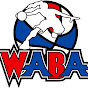 WABA Womens American Basketball Association YouTube Profile Photo