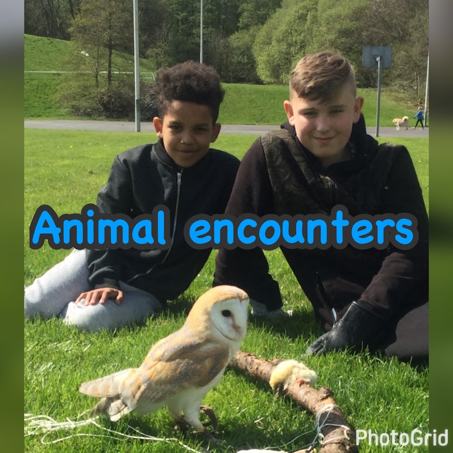 Animal Encounters ইউটিউব চ্যানেল অ্যাভাটার