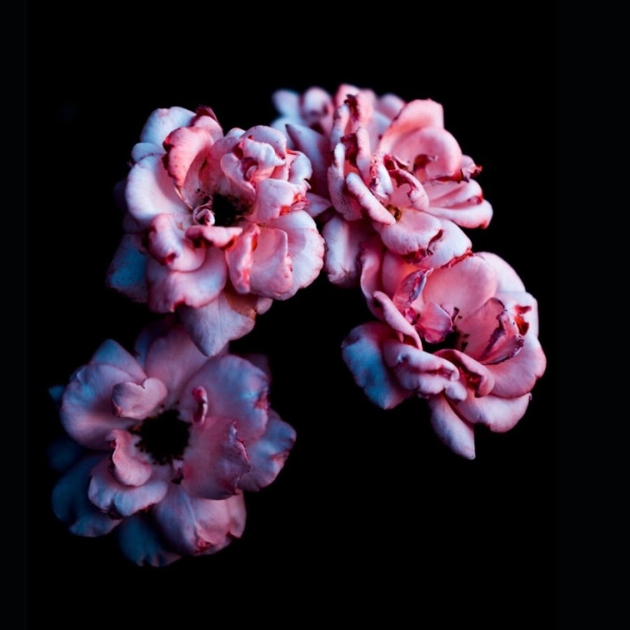 S O N G L Y R I C S Youtube