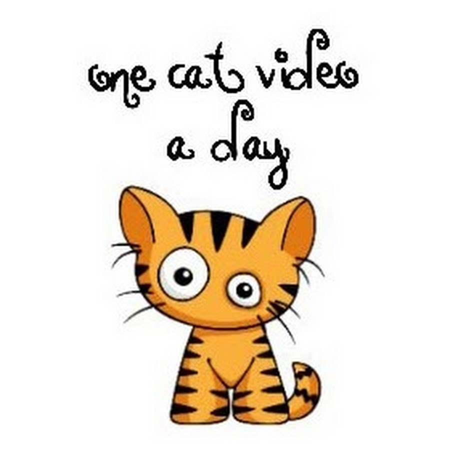 onecatvideoaday YouTube channel avatar
