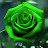 Rose Green