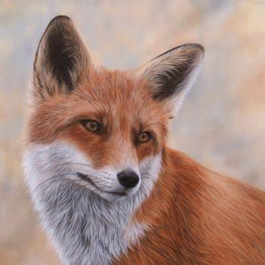 Лиса картинки для аватарки