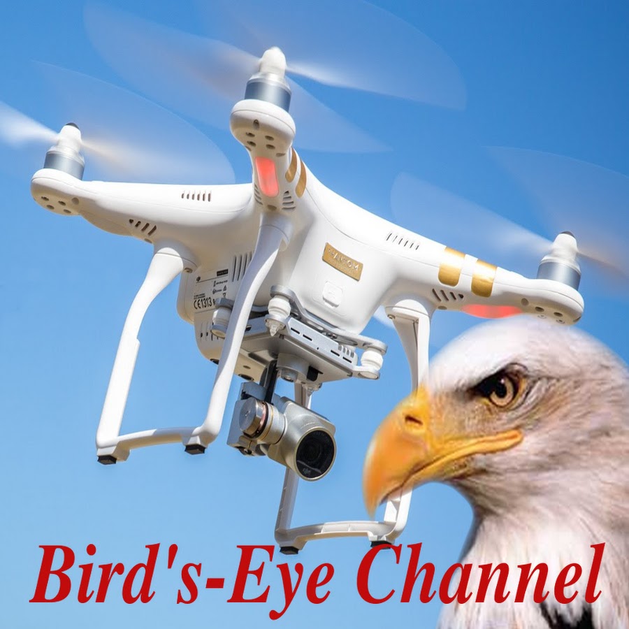 Bird's-Eye Channel رمز قناة اليوتيوب
