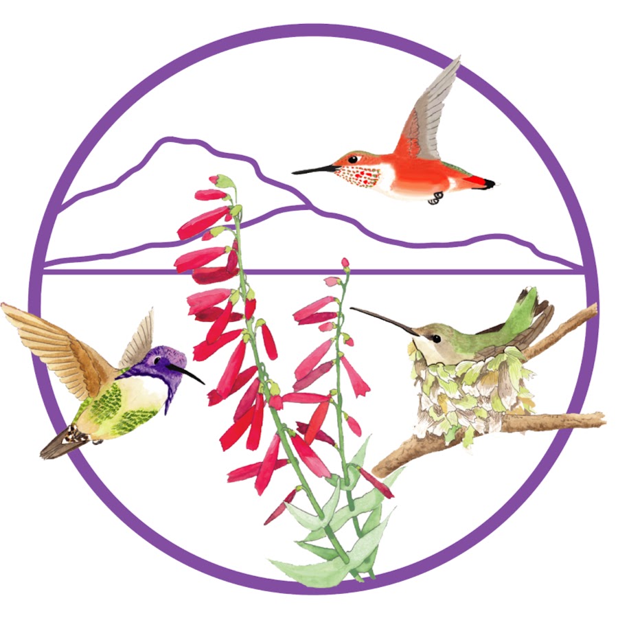 Hummingbird Monitoring Network Avatar de canal de YouTube