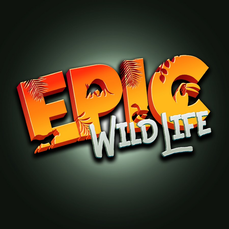 Epic Wildlife YouTube channel avatar