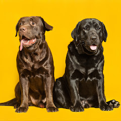 [心得]110/2021 台大經研所正取心得（自修）