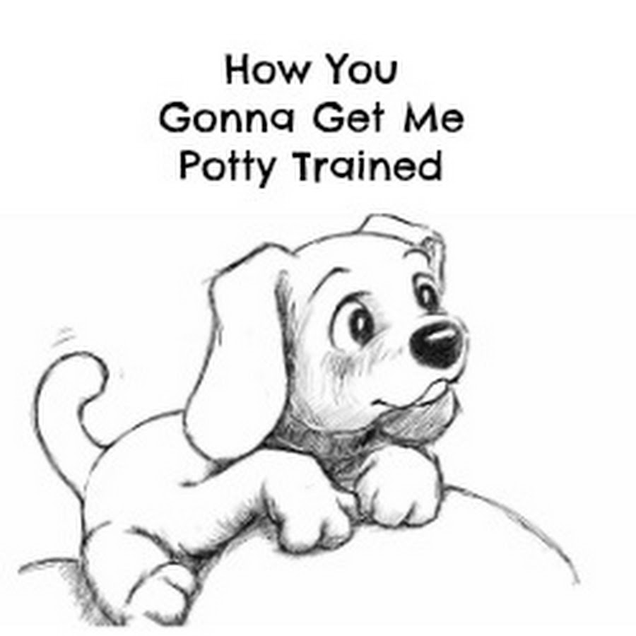 Dog-trainingtipsNetYourPuppyDogPottyTrainingSource Аватар канала YouTube