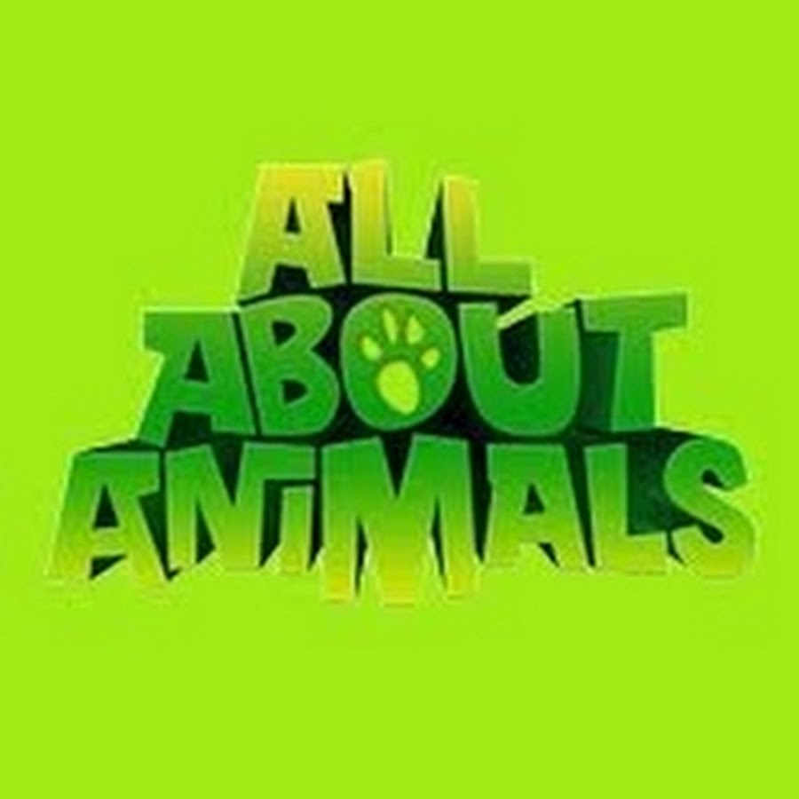 AllAboutAnimalsTV YouTube channel avatar