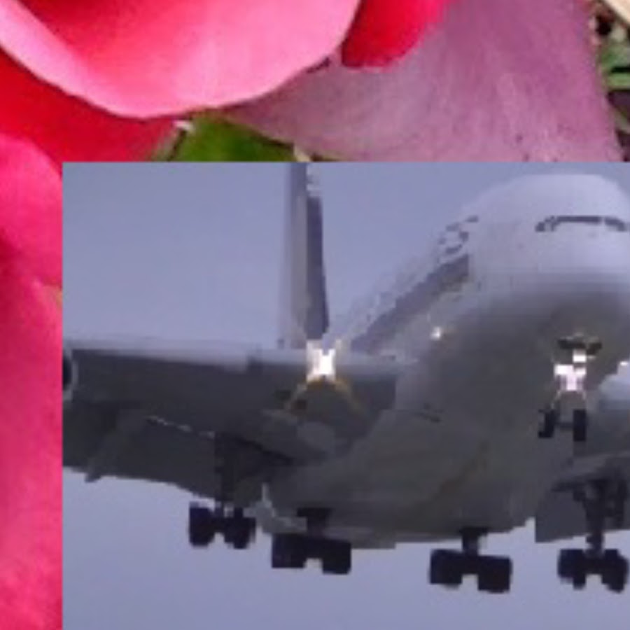 Wonderful PlaneSpotting Avatar de chaîne YouTube