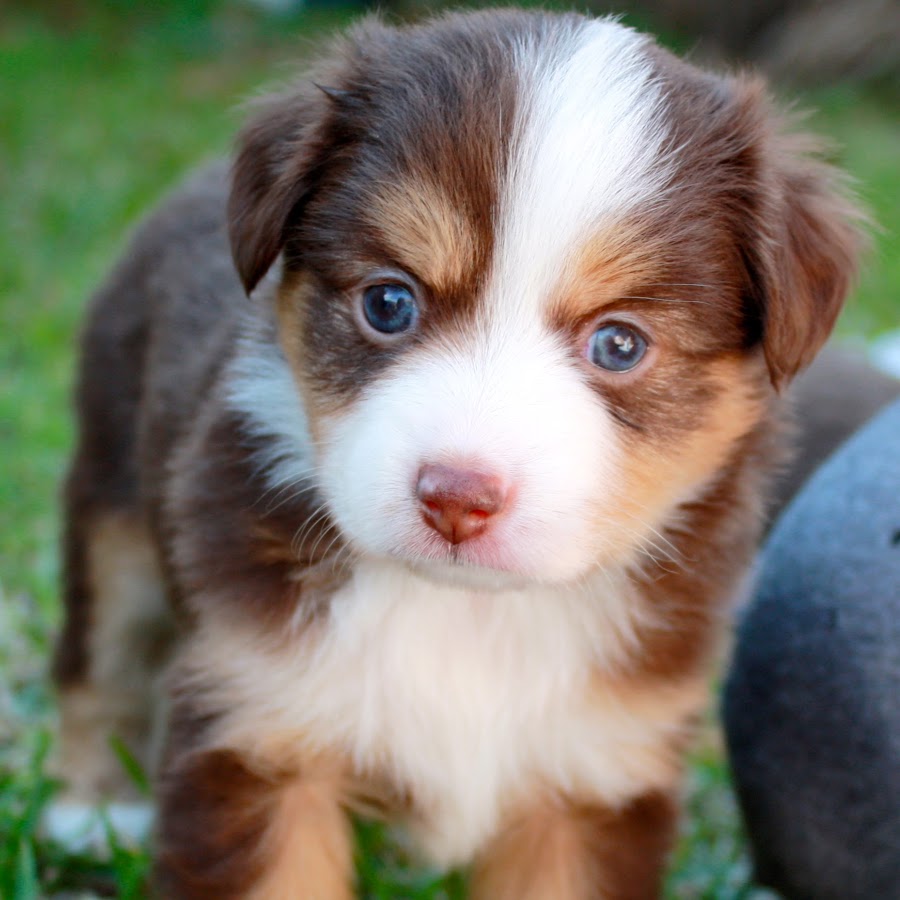 Heather Dawn May YouTube Stats, Channel Statistics & Analytics