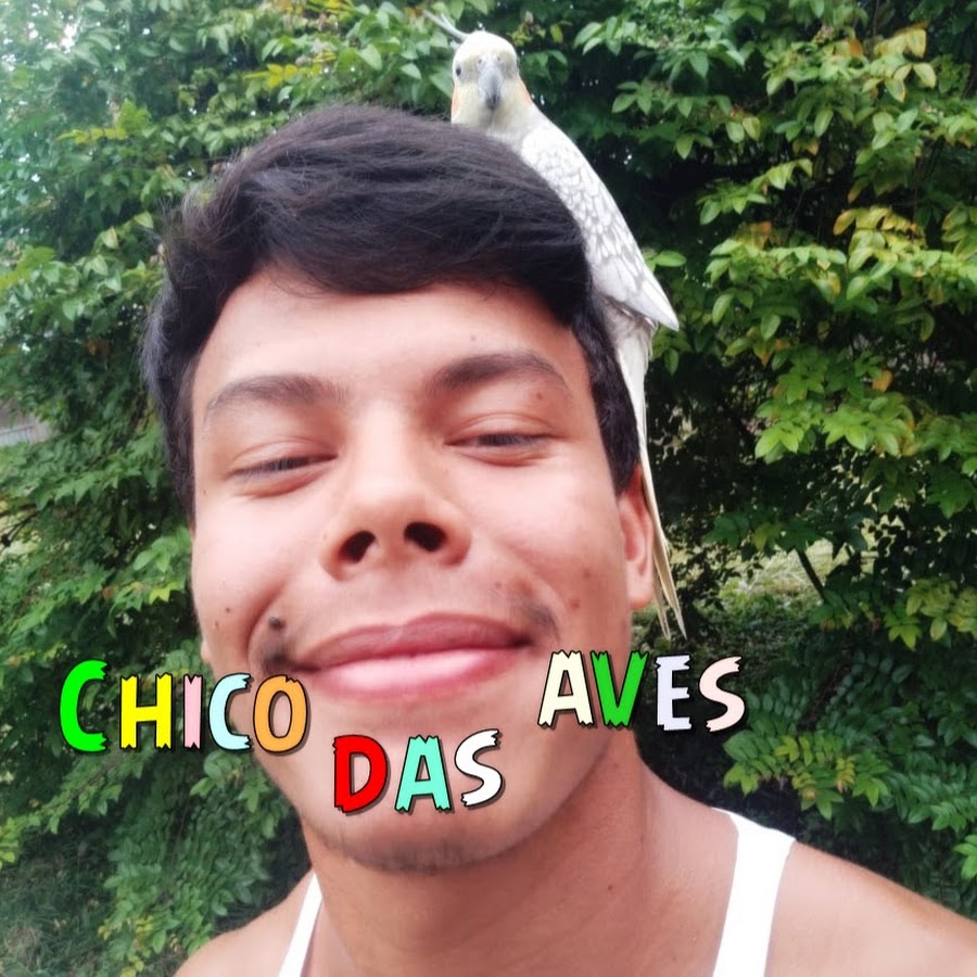 Chico das aves Аватар канала YouTube