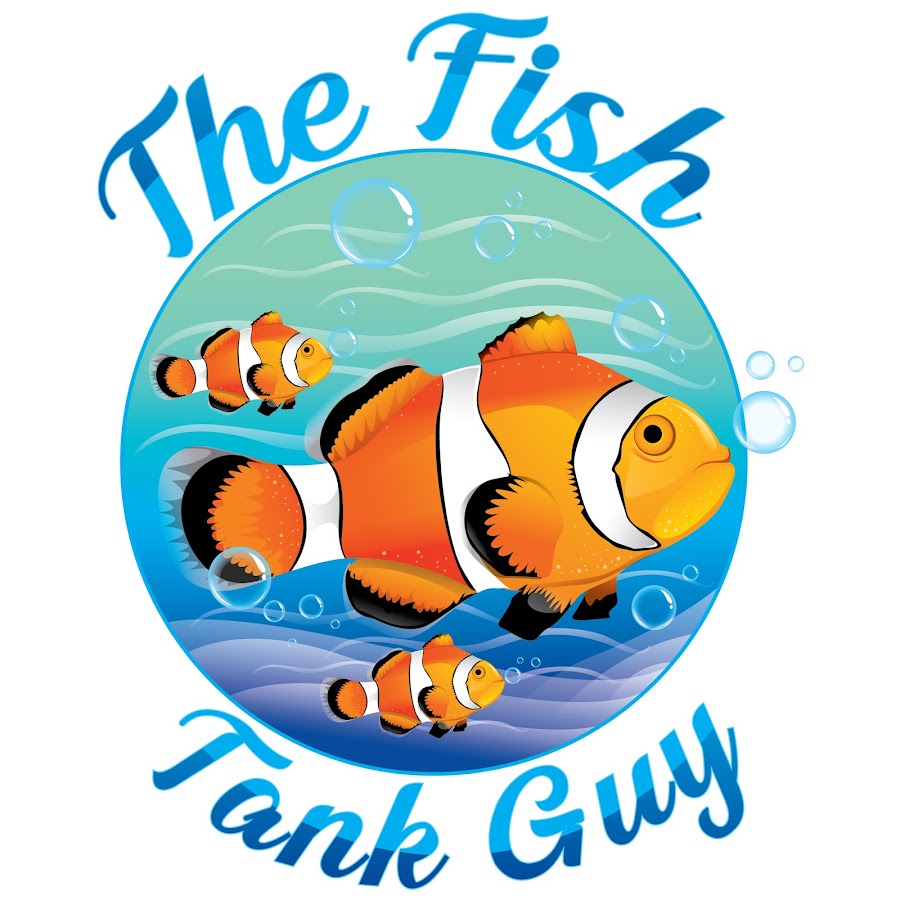 The Fish Tank Guy Avatar channel YouTube 