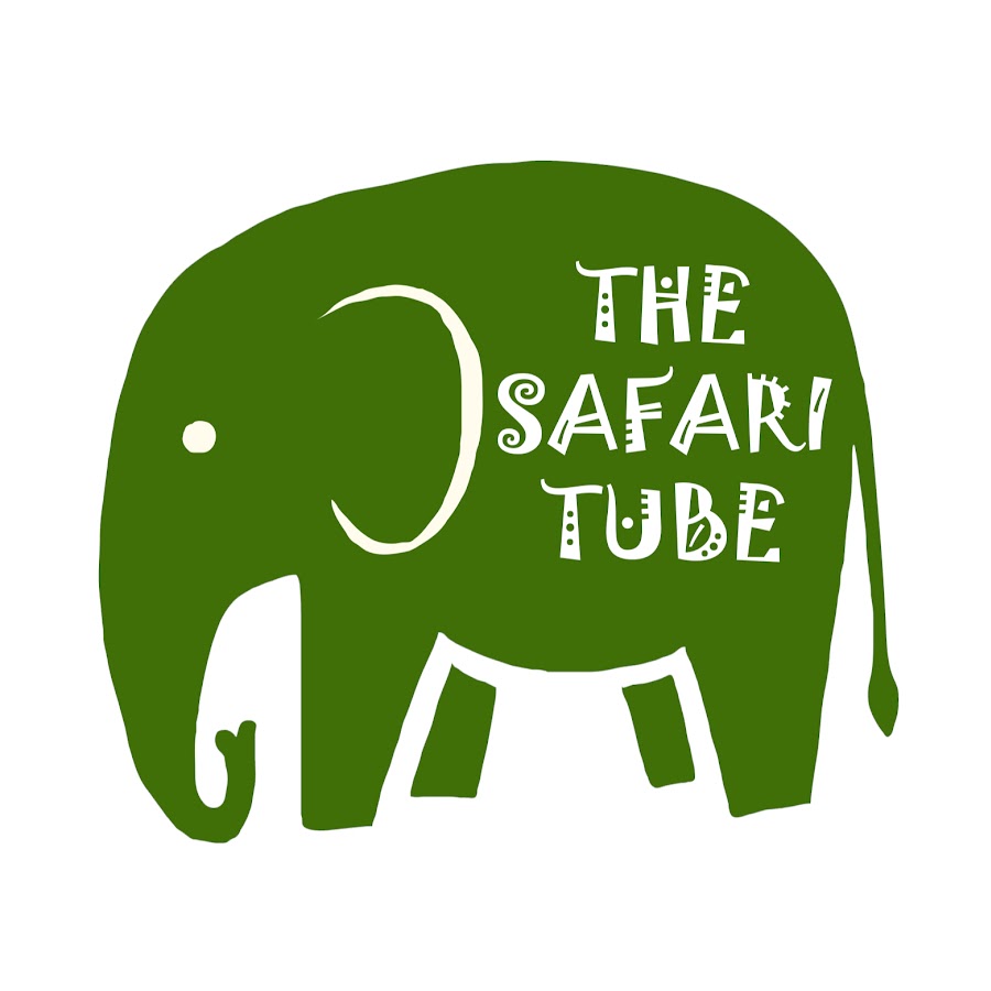 The safari tube YouTube kanalı avatarı