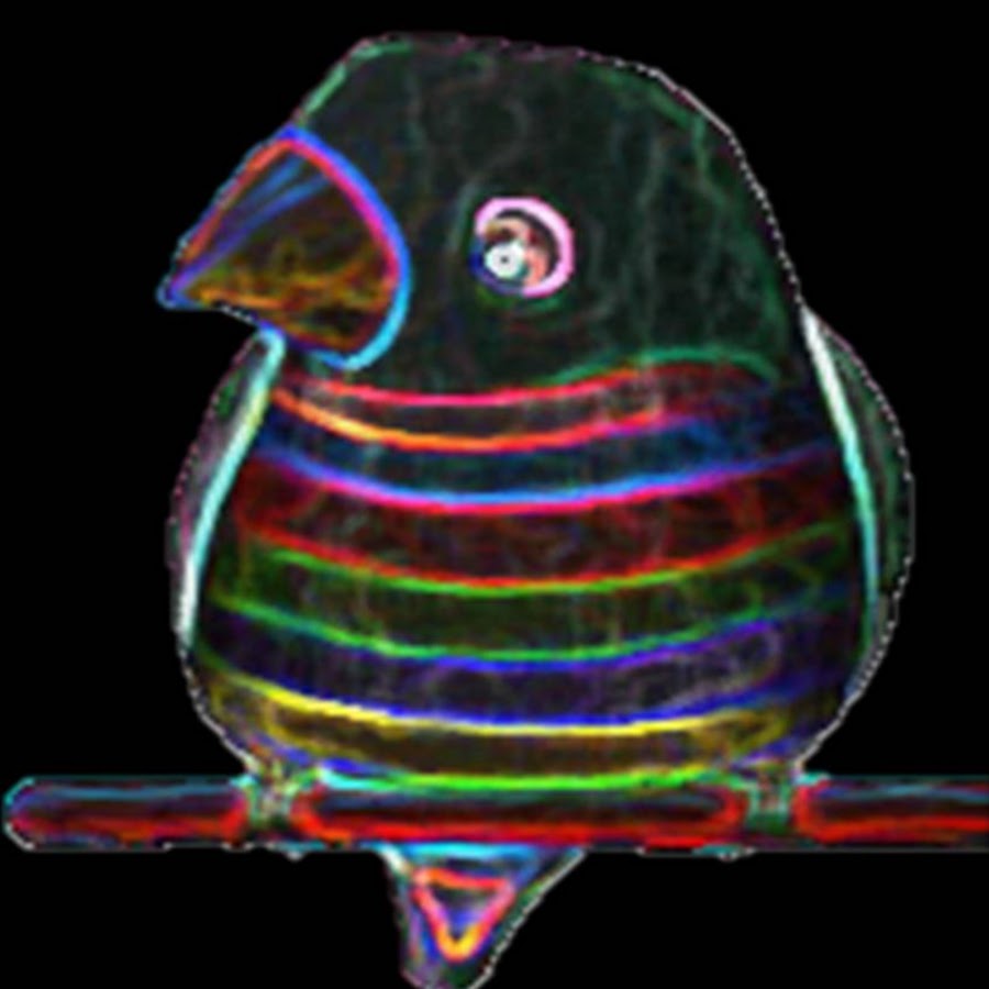 Jrasgadol aves YouTube channel avatar