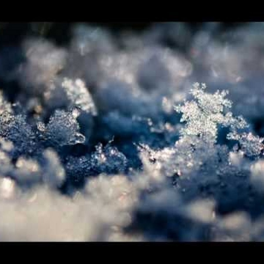 Zuikakup Youtube