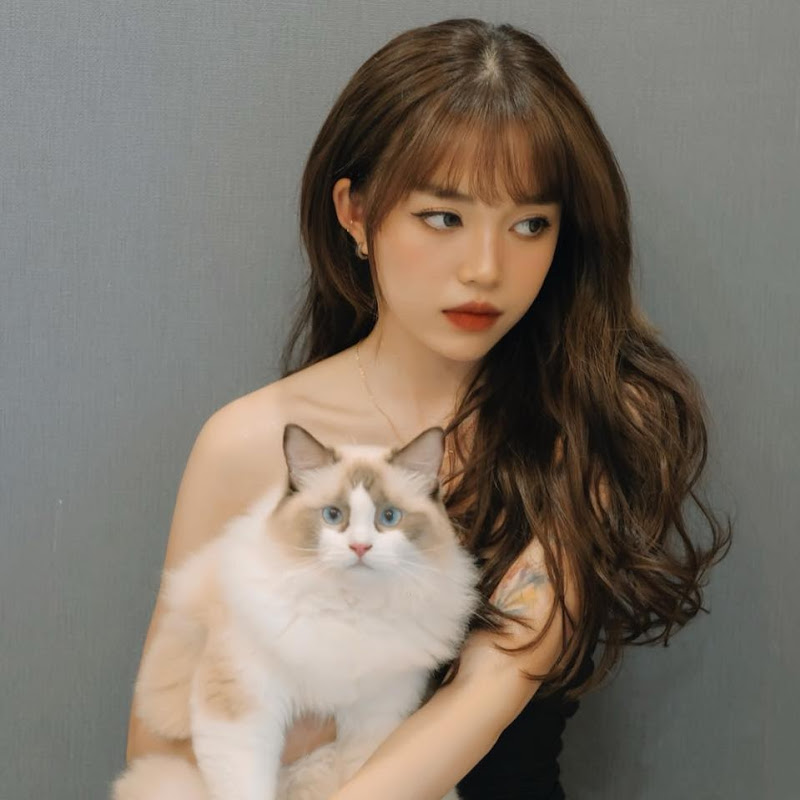 Linh Ngọc Đàm - 網紅的藏寶箱 