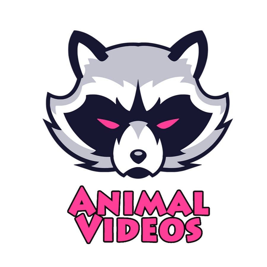 Animal Videos Awatar kanału YouTube