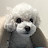 콩이언니