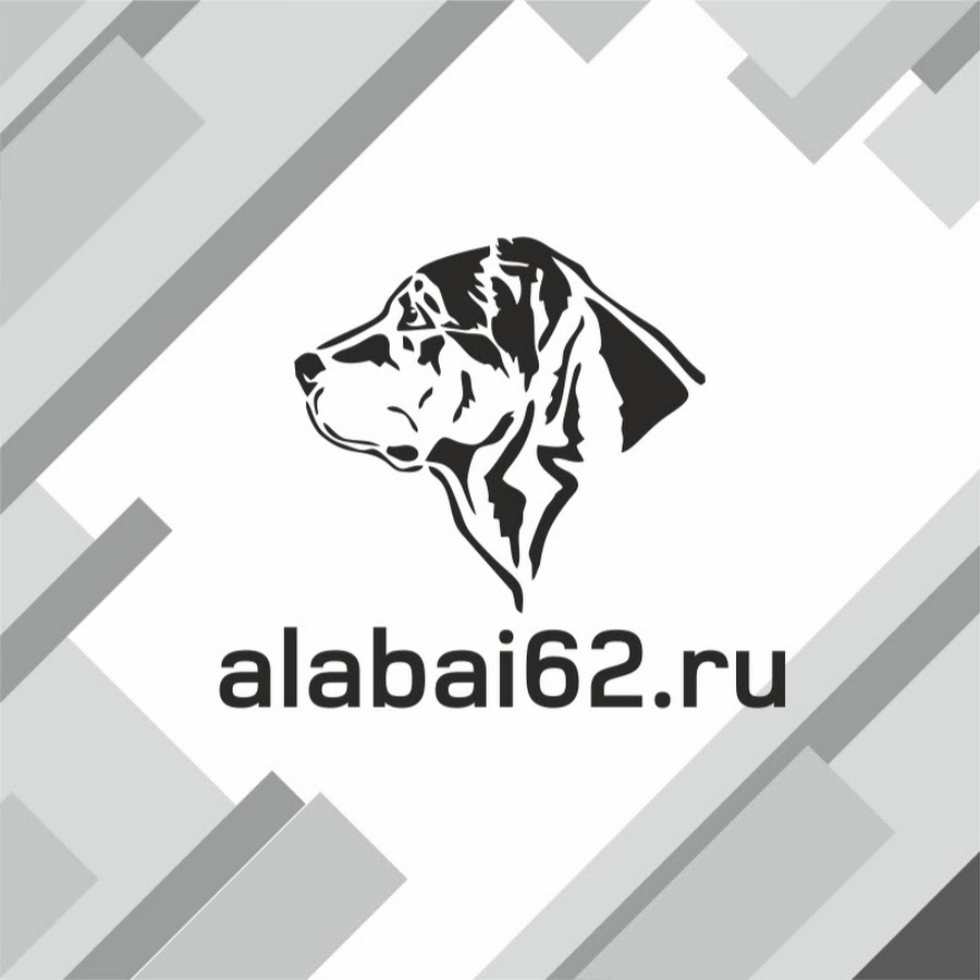 Alabai62