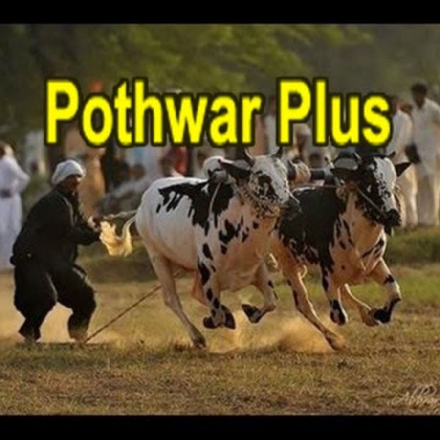 Pothwar Plus