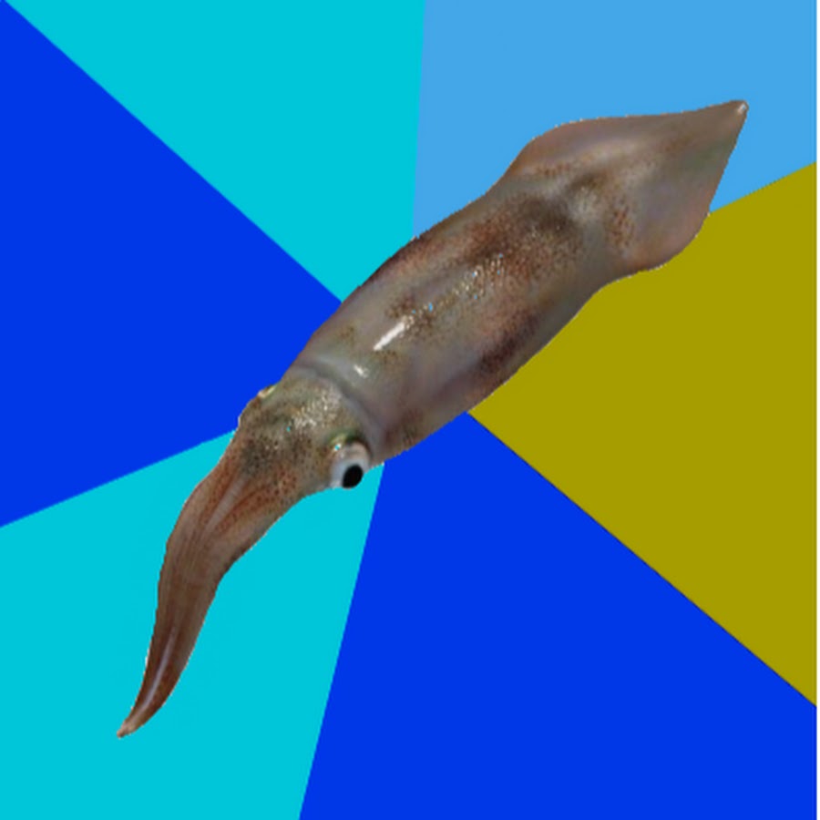 Мемы про игры. Смешной кальмар. Смешной кальмар. Шутки про игру в кальмара. Мем кальмары.