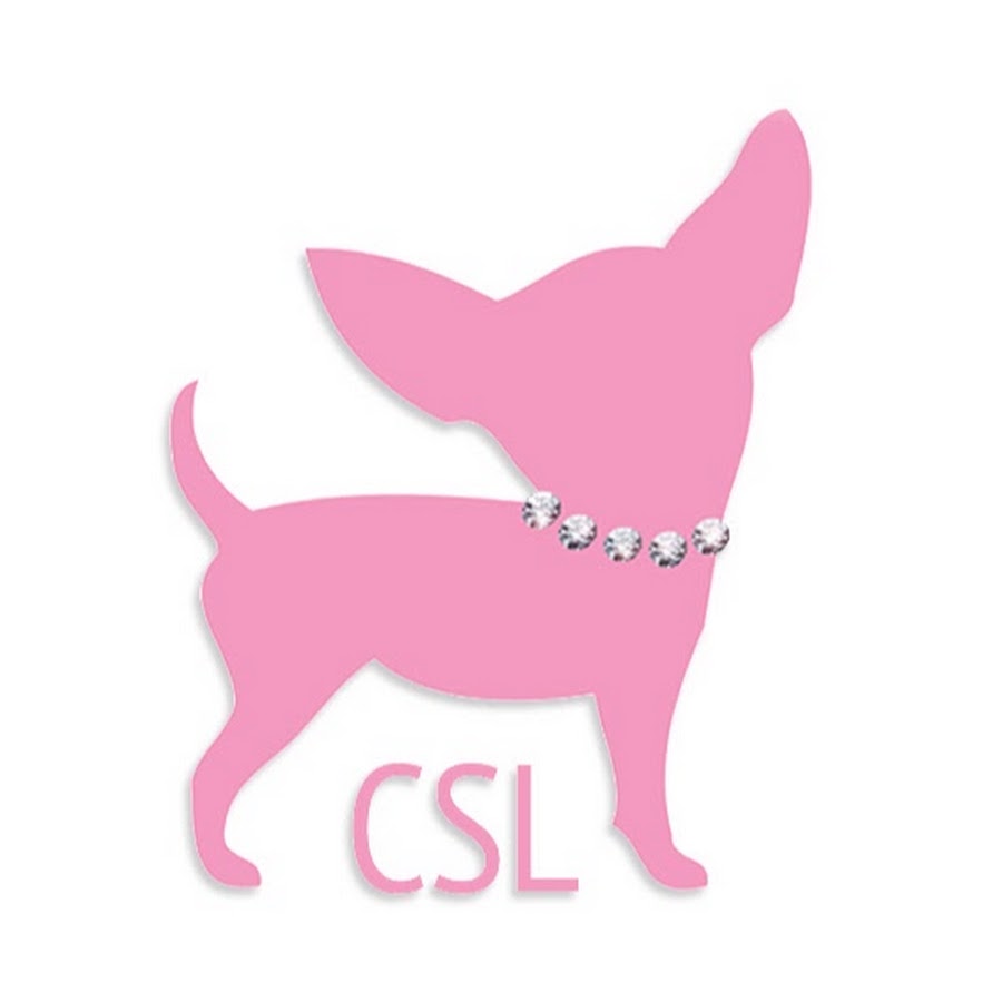Chihuahua SL YouTube-Kanal-Avatar