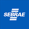 What could Sebrae buy with $100 thousand?