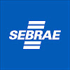 What could Sebrae buy with $100 thousand?